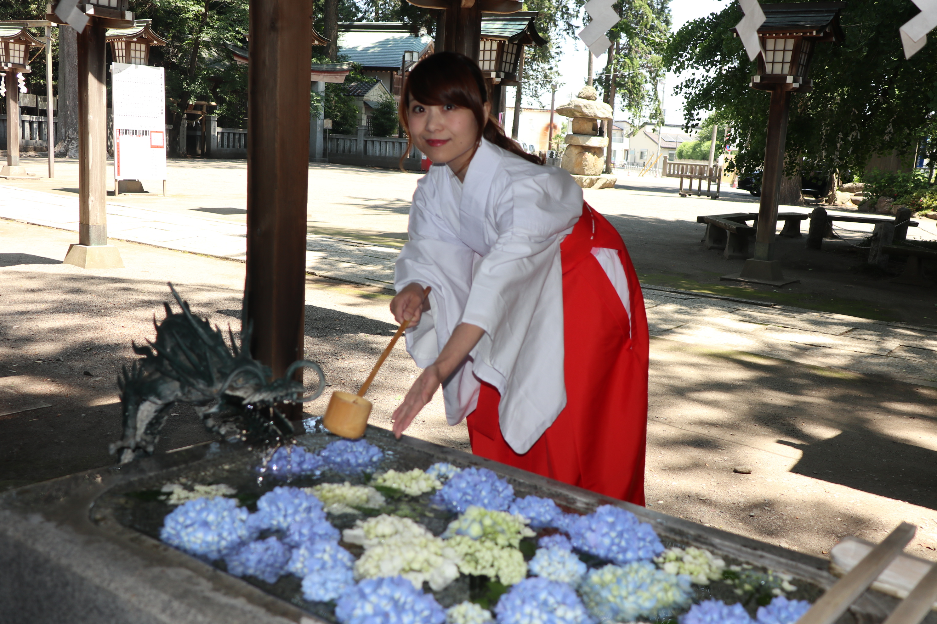 今宮神社 紫陽花の手水舎をお楽しみいただけます 栃木県さくら市観光ナビ