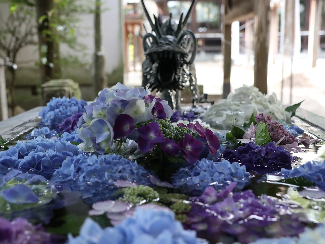 今宮神社 紫陽花手水舎をお楽しみください 栃木県さくら市観光ナビ