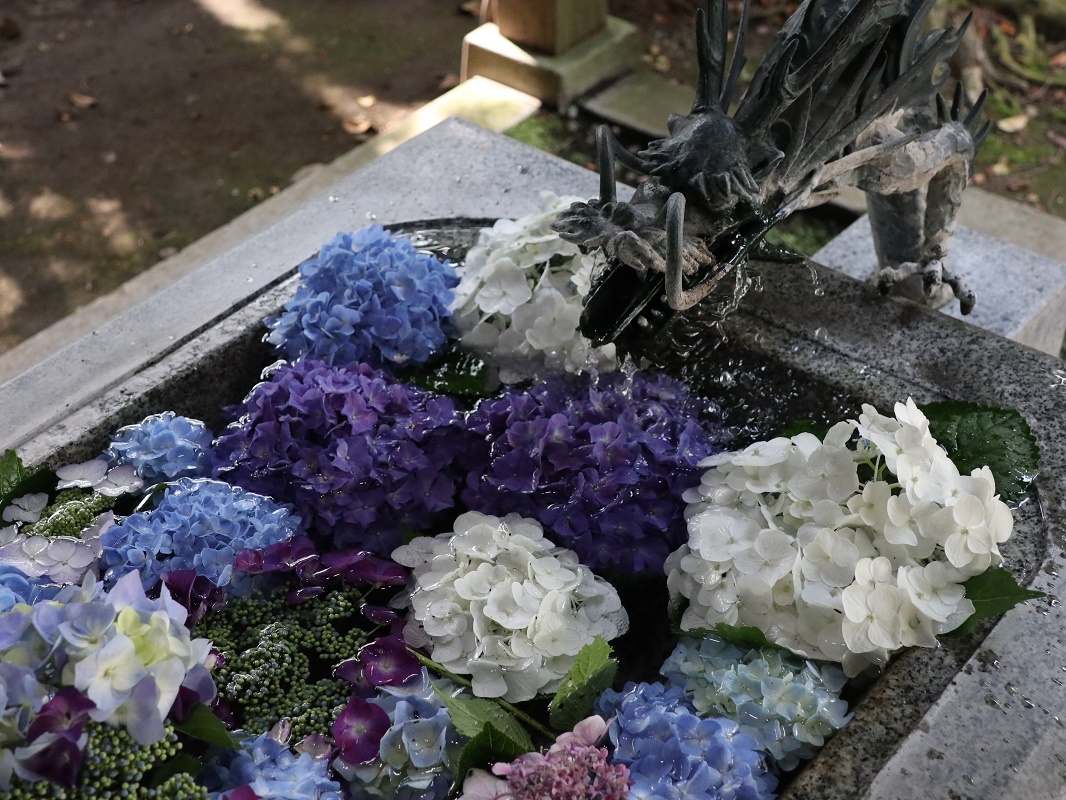 今宮神社 紫陽花手水舎をお楽しみください 栃木県さくら市観光ナビ
